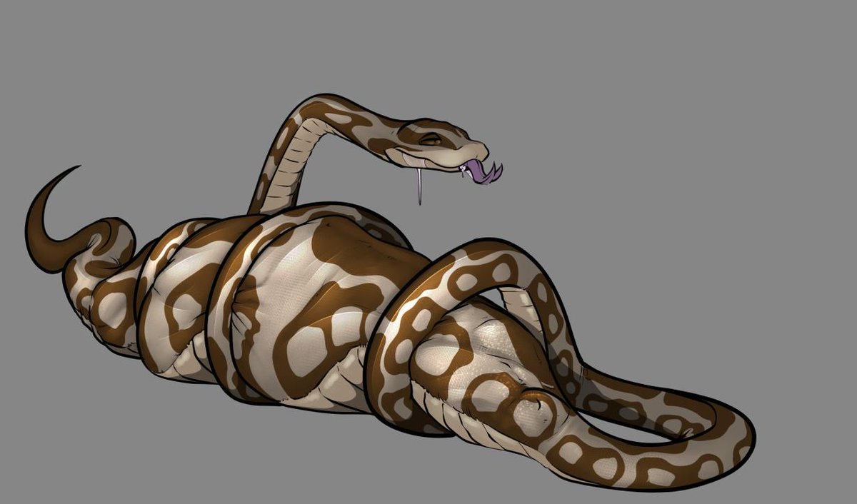 Kaa (Parody) tweet media