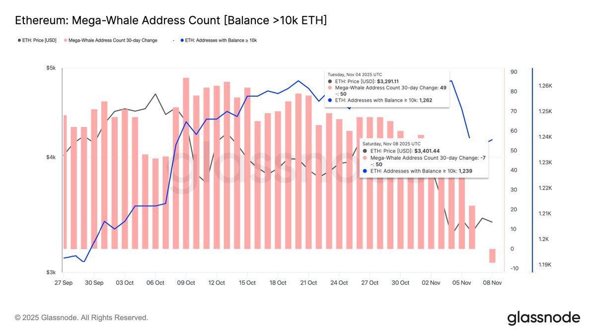 CoinwatcherNews's tweet image. 🐳 Actividad inusual entre grandes holders de #Ethereum

En los últimos 7 días, 23 de las mayores ballenas de #ETH han vendido o redistribuido parte de sus participaciones.

📊 Estos movimientos podrían reflejar toma de beneficios, reajustes de riesgo o rotación hacia otros…