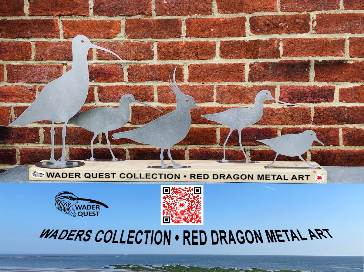 waderquest's tweet image. New website live! 
Beautiful metal wader art  and each purchase supports @waderquest 
Buy art. Save waders. 
➡️ Go check it out!  reddragonmetalart.co.uk

Be #inspired by #waders or #shorebirds
#wildlifeconservation #charity
#ChristmasGiftIdeas #ShopForAGoodCause
