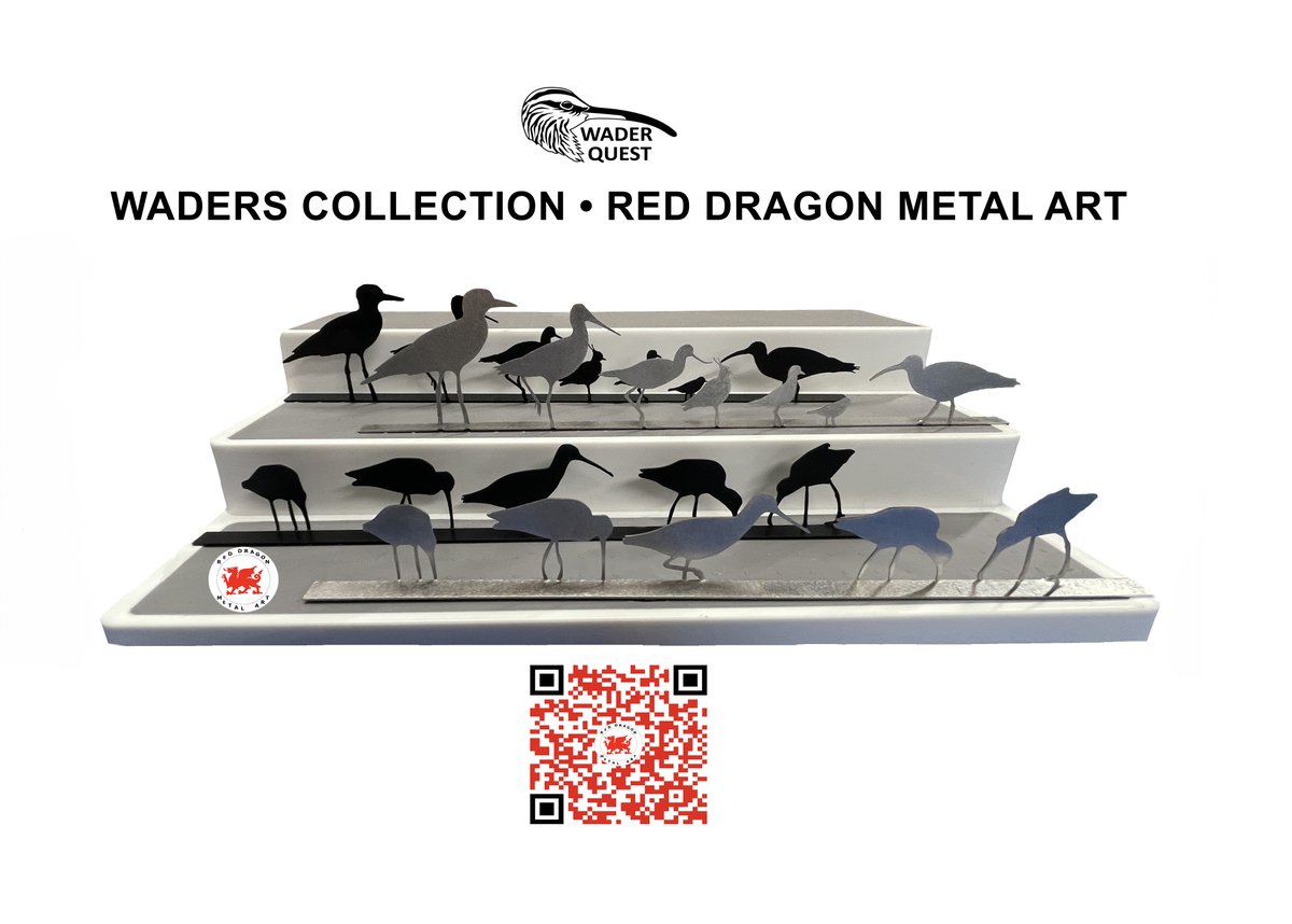 waderquest's tweet image. New website live! 
Beautiful metal wader art  and each purchase supports @waderquest 
Buy art. Save waders. 
➡️ Go check it out!  reddragonmetalart.co.uk

Be #inspired by #waders or #shorebirds
#wildlifeconservation #charity
#ChristmasGiftIdeas #ShopForAGoodCause