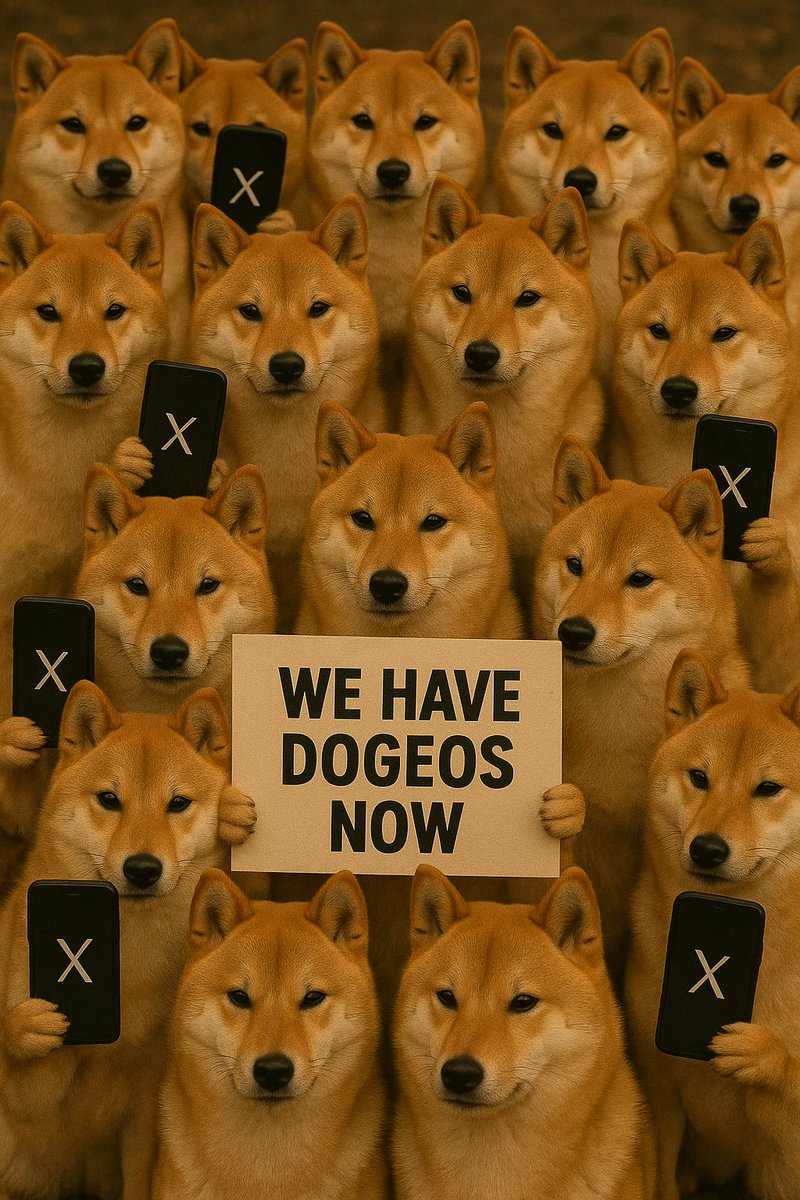 dogecoinsteve's tweet image. I Cannot Wait To Build On @DogeOS 🐶🐾 $DOGE 

#DOGE #DogeOS