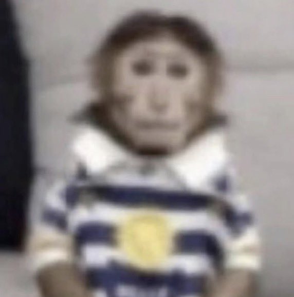 merdo313's tweet image. #YeniProfilResmi