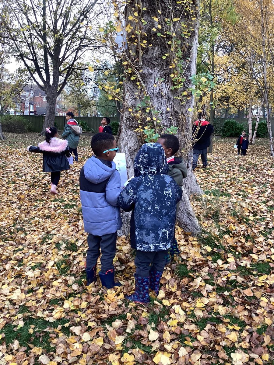AyresomePrimary's tweet image. Year One Hub 2 enjoyed looking for signs of animals on our Science walk today 🦔
@AdAstraTrust 
#natureforwellbeing
#STEM