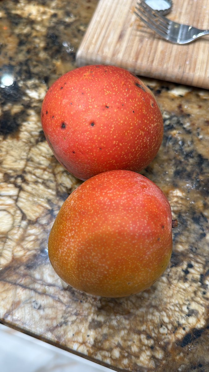 Kirill Pertsev tweet media