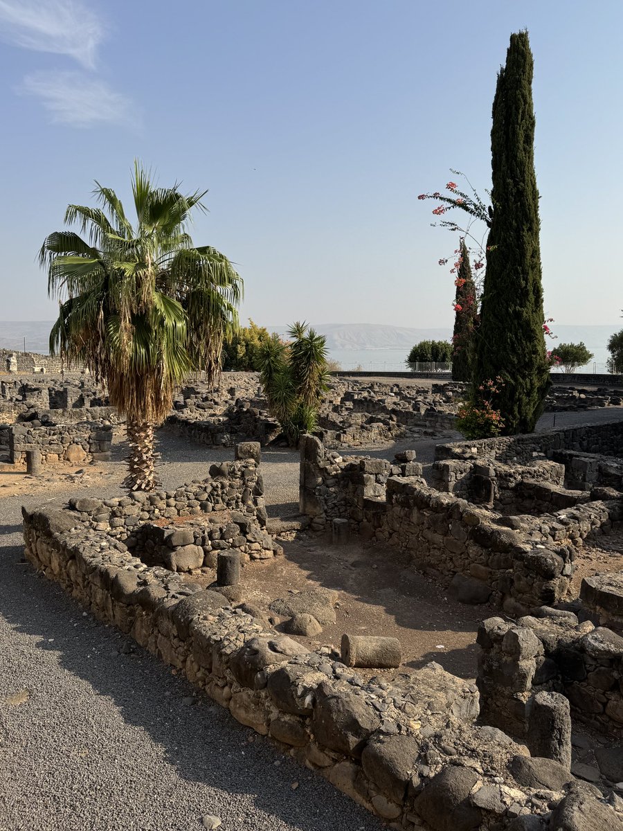 Israel-Reise, Tag 8: Kapernaum - hier lebte und wirkte Jesus. Von hier zog er durchs Land, heilte, lehrte, rief in seine Nachfolge. Wenn ich heute zwischen diesen Steinen stehe, staune ich still: Gottes Sohn war hier - und auf Golgatha hat er meine Schuld getragen. Gott sei Dank.