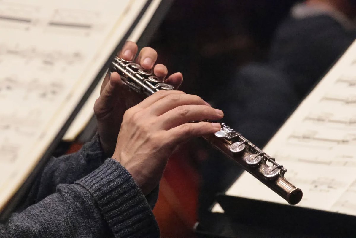 Instituto Nacional de Bellas Artes y Literatura tweet media