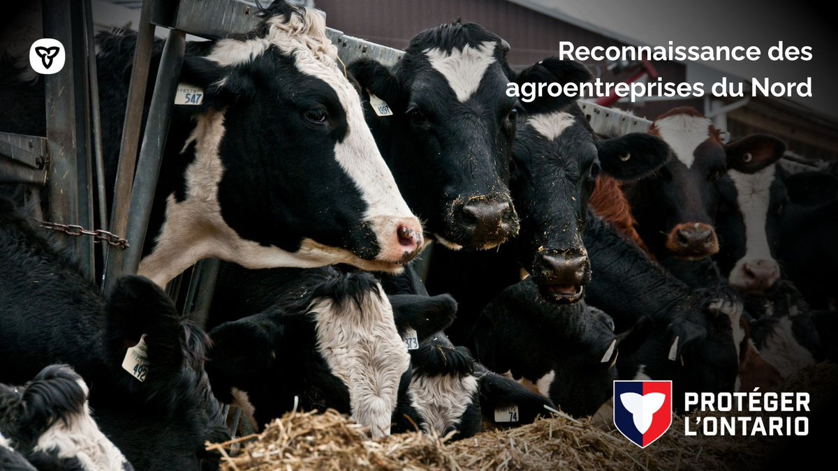 🎊FÉLICITATIONS🎊

Cornell Farms a reçu une Mention d’honneur dans la catégorie Excellence pour les entreprises du Nord des Prix d'excellence en agriculture 2025 ! L'entreprise produit du bœuf et élève des bovins de race dans le Nord de l'Ontario.

Info : north-on-fr.visitlink.me/4B3CSd