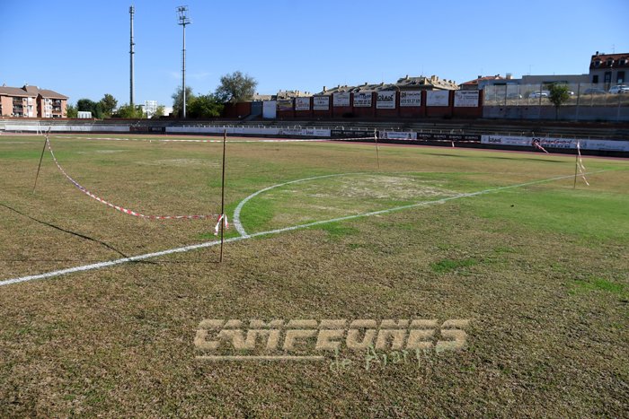 CAMPEONES de Aranjuez tweet media