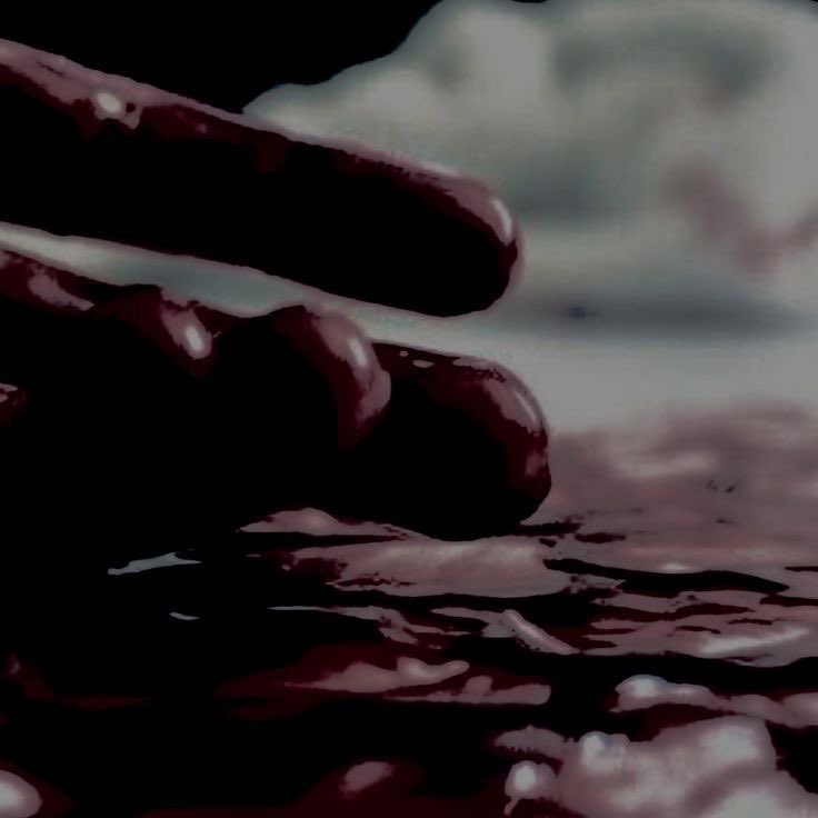 SASBRAVOSIX's tweet image. 