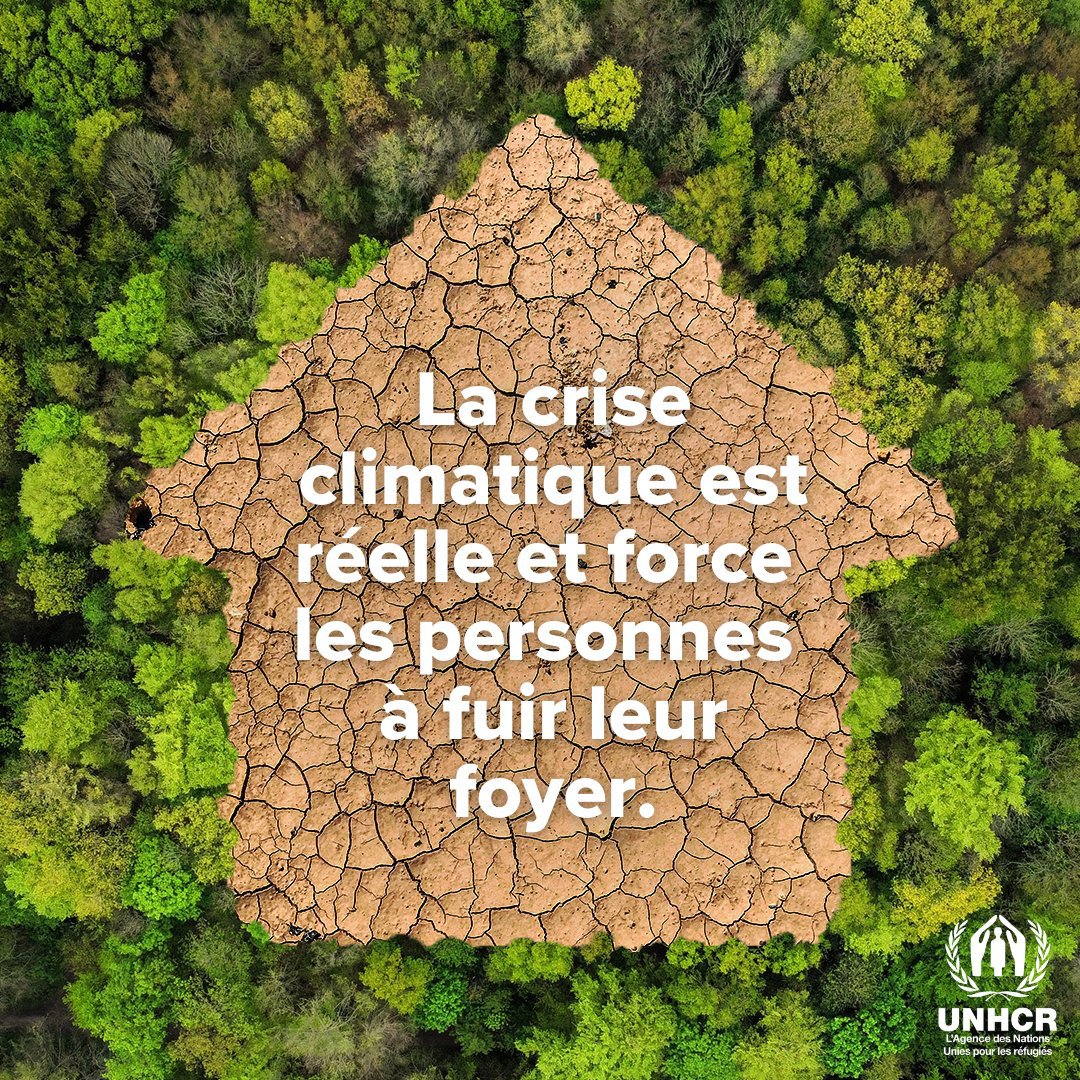 ONU_fr's tweet photo. Au cours des dix dernières années, les catastrophes climatiques ont provoqué quelque 250 millions de déplacements internes, soit environ 70 000 personnes déplacées par jour.

Dans son rapport présenté à la #COP30, @Le_HCR appelle à l'#actionclimatique. https://t.co/CIXtEc5b4a https://t.co/9DlOBBl5qi