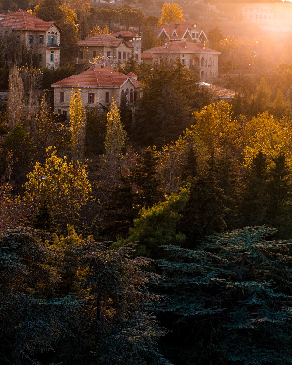 Layers of Autumn 🍂