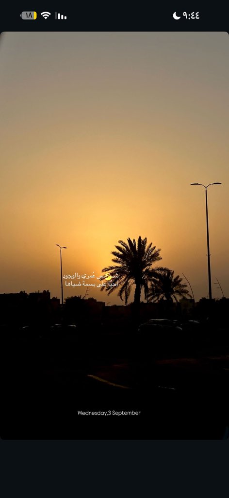 الأحب لقلبي❣️