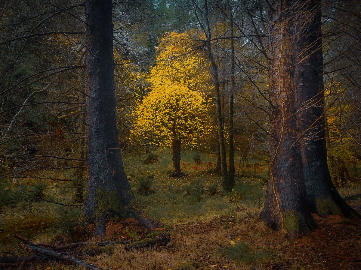 Stuart Klinke tweet media