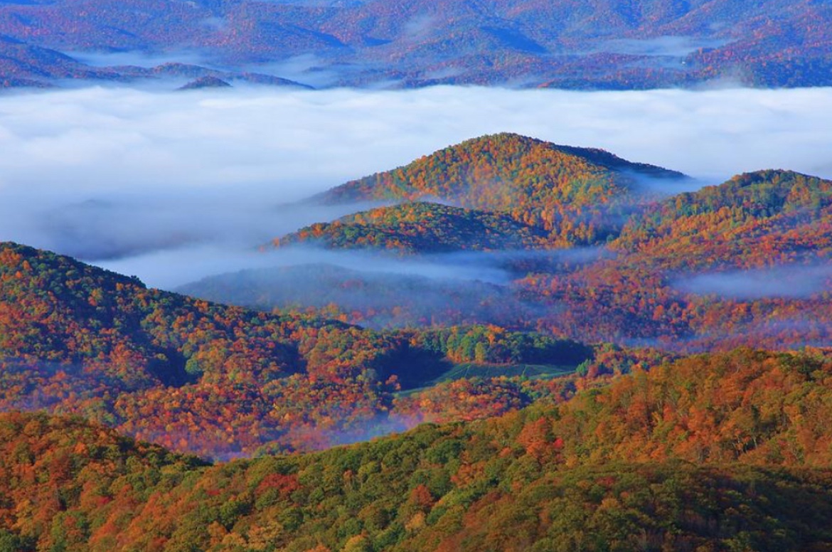 WeeklyComedy's tweet image. 