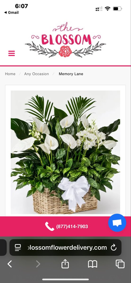 Ladee_LyLa's tweet photo. #BlossomFlowerDelivery another horror story - flowers delivered were not remotely like the item ordered - I wish I had searched this company they are not ethical. The left was the order the right is what was left at the door and delivery guy left before I could refuse delivery. https://t.co/XKjcMeJsuk