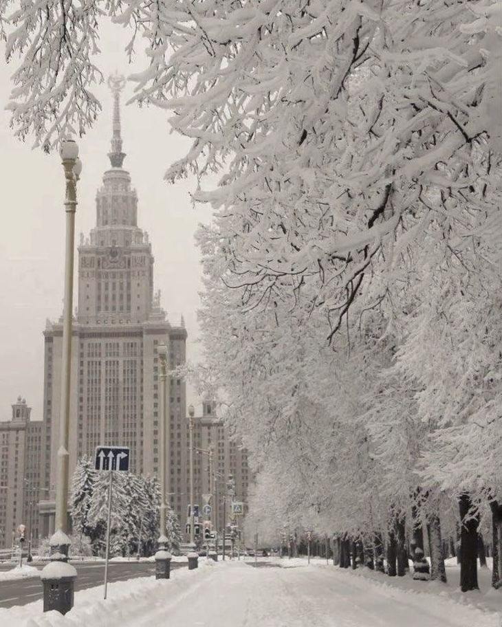 ⊹ ࣪ pam ˖✦ tweet media