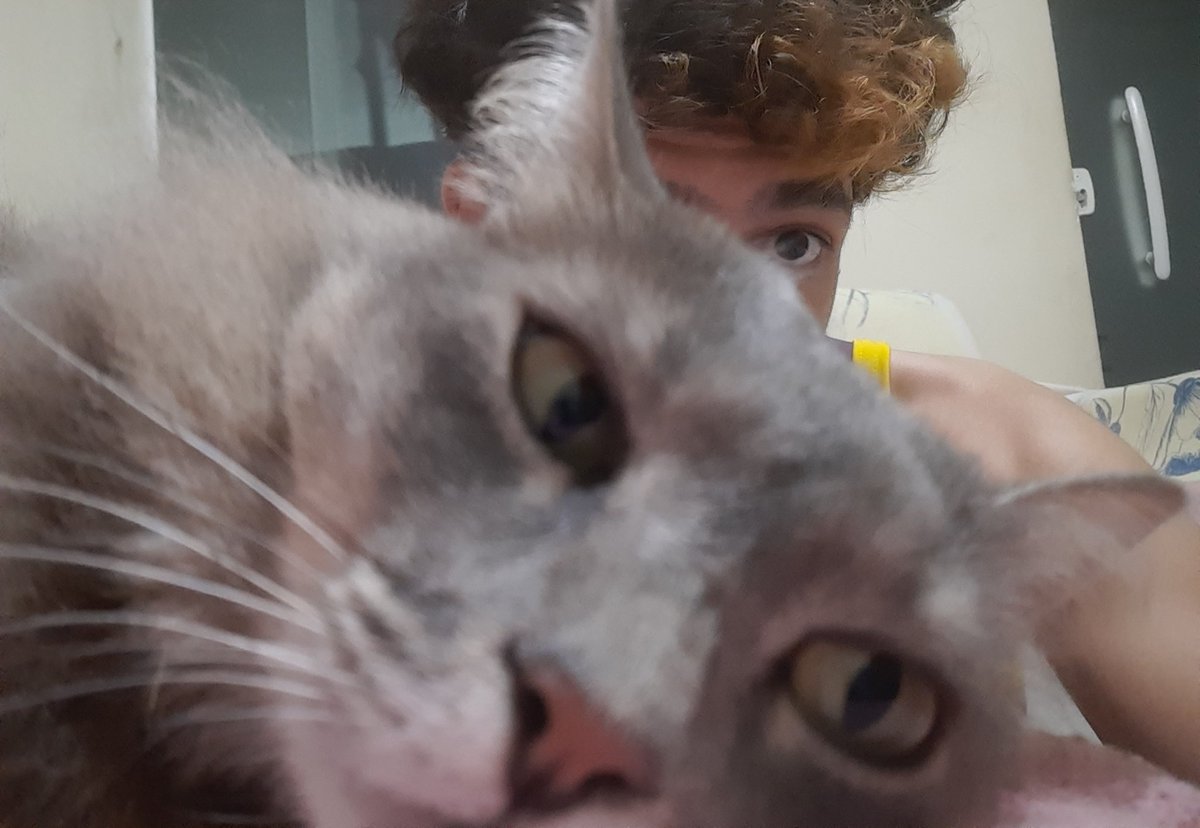 Vovózona 3: Tal pai, Tal filho. tweet media