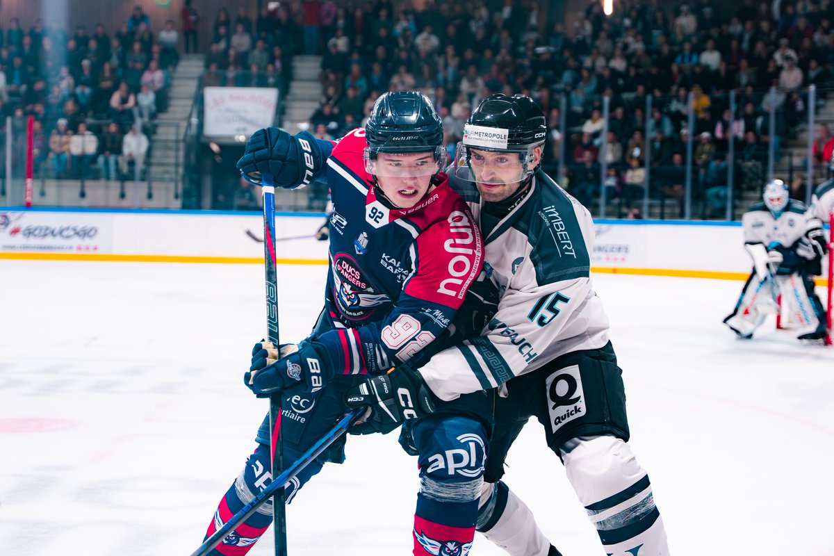 Les Ducs d'Angers tweet media