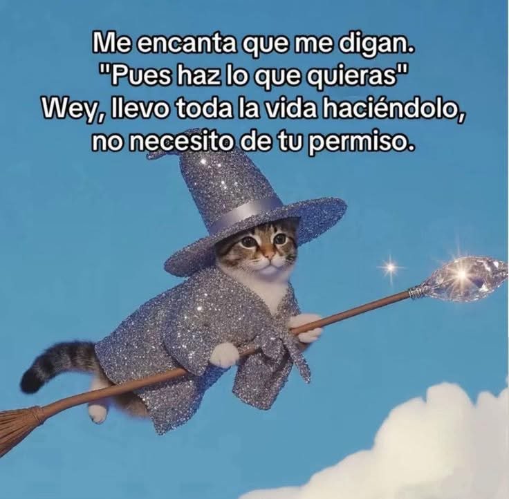 Dilo con gatitoz (@dilocongatitoz) on Twitter photo 