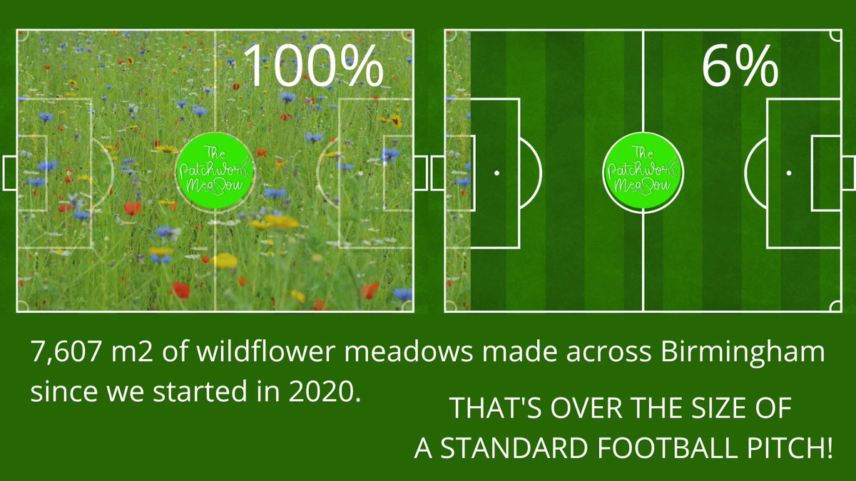 The Patchwork Meadow tweet media