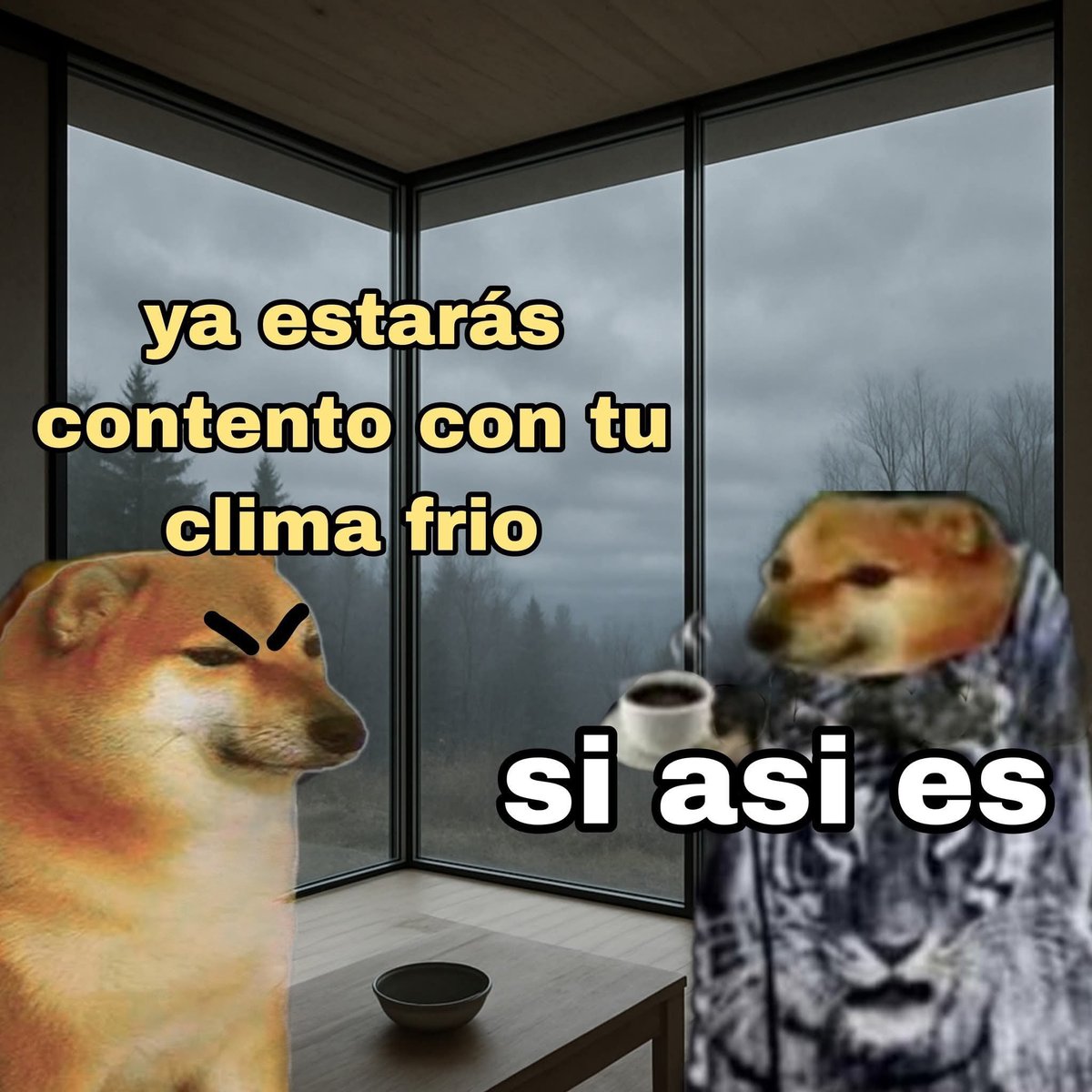 Briagowsky's tweet image. 