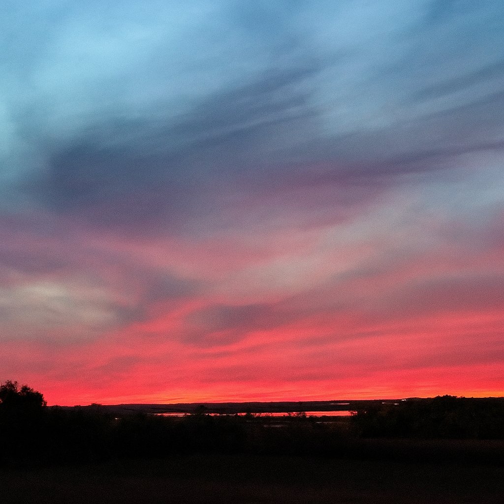 Samuel Domínguez González (@sadogo2021) on Twitter photo 