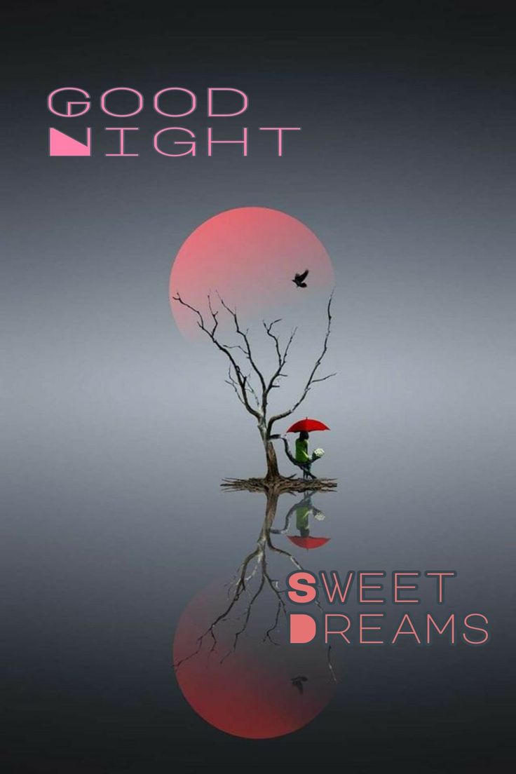 <a href="/ahmedLatee44220/">Bahir Samir</a> <a href="/sheryart_/">Shery Art</a> <a href="/shrnbsv/">Cinema Beauty</a> <a href="/IndeViolet30806/">Violet Inde</a> <a href="/ebb6d646128d429/">Susana Tanita</a> <a href="/A44125131Amy/">Amy«不私聊»</a> <a href="/ALEJANDRAPobeda/">❀࿔🌷Alejandra Pobeda❀࿔🪷♥️💯💯</a> <a href="/20merooo20/">💙Meryem Alkış</a> <a href="/CleuCleudete/">@Clau</a> <a href="/GeorginaRibe/">Ribé1</a> Good Night, Bahir!! ✨️🌙🙏