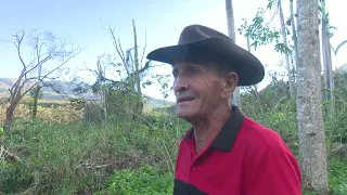 TurquinoTeVe's tweet image. En plena cosecha cafetalera, tras el paso del Huracán Melissa por la provincia #SantiagodeCuba, se realizan acciones de alcance integral por los daños ocasionados a los cafetales y recursos Forestales del municipio Tercer Frente.

tvsantiago.icrt.cu/2025/11/afecta…