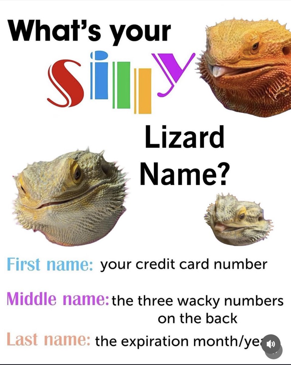 jhackettart's tweet photo. Hey @elonmusk you silly lil reptilian! What’s your silly lil name? https://t.co/gu6XHZNuqw