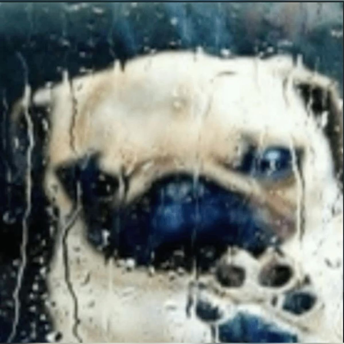 swwtkw's tweet image. Demasiado introvertido para los extrovertidos y demasiado extrovertido para los introvertidos…