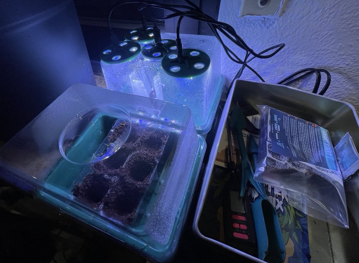 Die Freiluft-Anbausaison 2026 ist ja noch ein paar Tage entfernt. Da muss man sich ja irgendwie sinnvoll die Zeit vertreiben, z. B. mit einem kleinen 
Low-Budget-Experiment-auf-Heizung.brokkoli :-)
Ich werde berichten ... Happy Growing allerseits