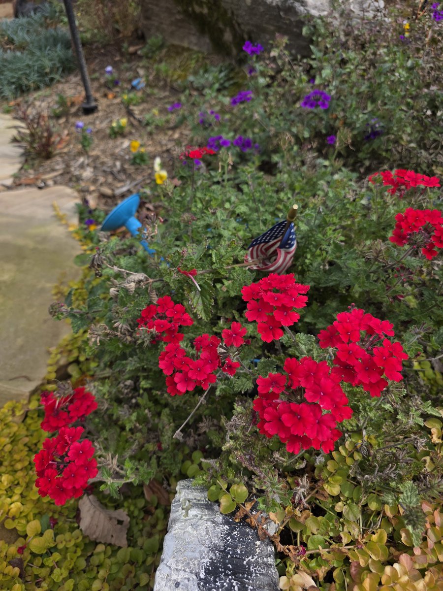 garden_marys's tweet photo. Another for #MagnetaMonday
I haven't seen any snow flakes yet today, but we've already reached our high of 42° and are now back down into the mid 30s. The wind gusts are very brisk! Might see some flurries in the next few hours blow in from the mountains. ❄️ #McDowell #WNC https://t.co/vbNiWPsdjm