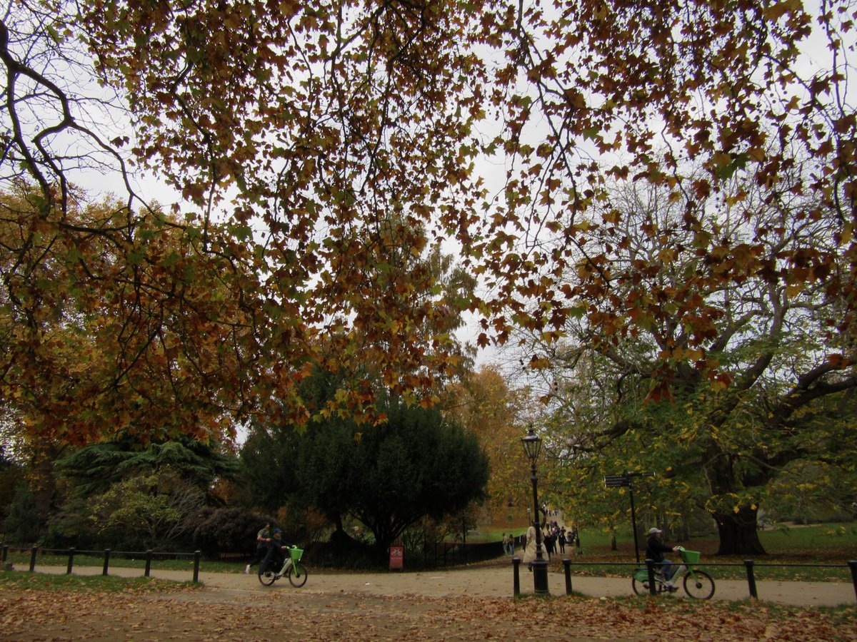 _sajidahb's tweet image. london in autumn
