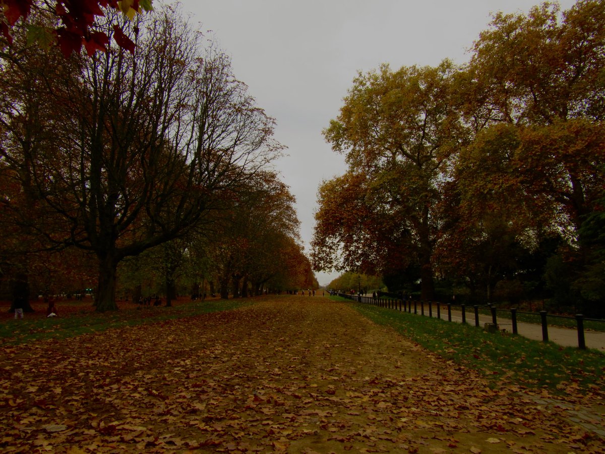 _sajidahb's tweet image. london in autumn