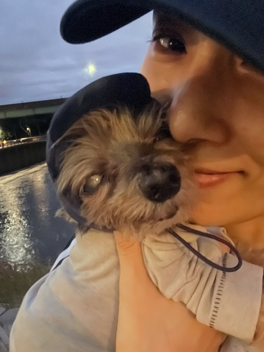 긤이랑 김꼬맹 마지막 산책 
아기강아지 고마웠어!