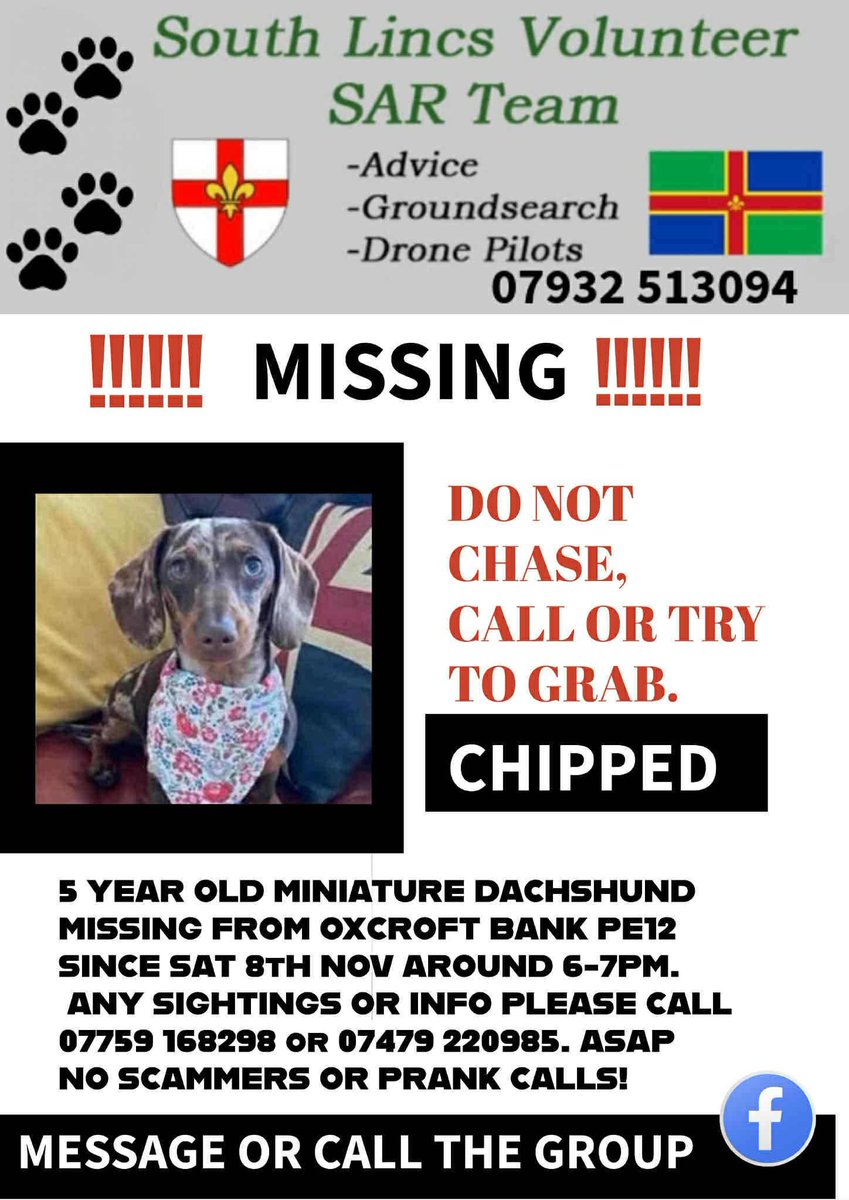 MissingPetsGB's tweet image. 🐕🧨 FRANKIE #missing Oxcroft Bank #Spalding #Cambridgeshire #PE12

FRANKIE ran out of the door 8 November 2025 when scared by #fireworks
No sightings so far from searches.

She’s only small, she must be terrified.

DO NOT CHASE IF SEEN!! CALL ASAP