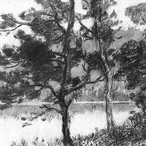 Wednesday 12th November 2025. Charcoal Drawings. Rural Arts, The Courthouse,4 Westgate, Thirsk YO7 1QS. In this session, you’ll explore the expressive possibilities of charcoal, learning technique. For more info 👉 visitthirsktown.com/events/