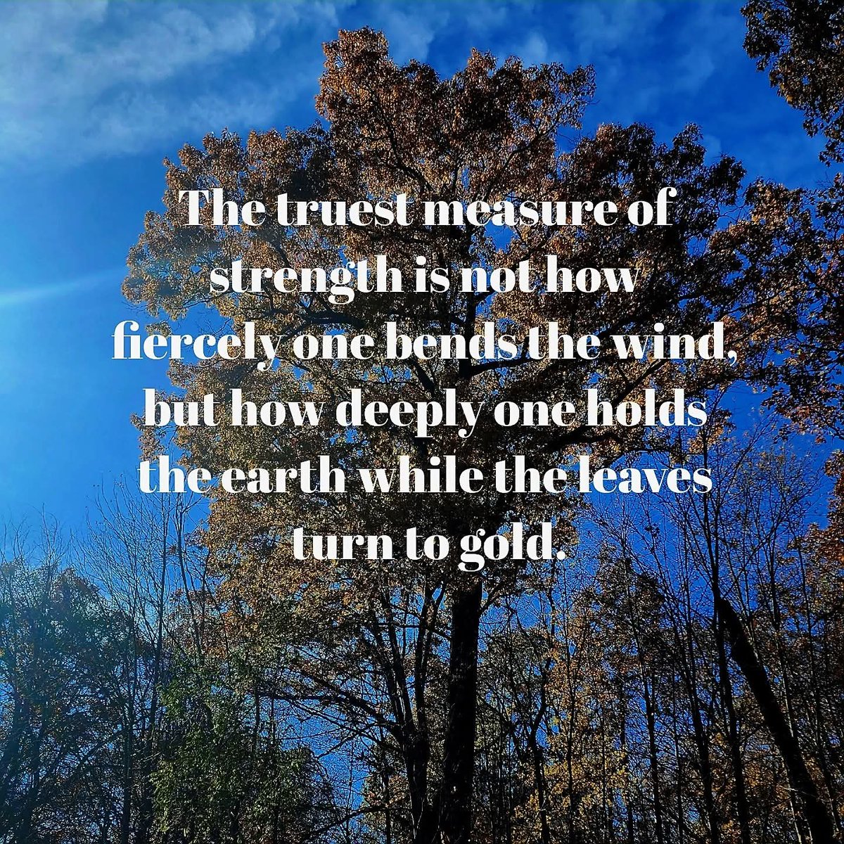 AWillbrandt1047's tweet image. The strength that empowers a person to thrive through life&apos;s challenges without being deterred by obstacles. #strength #empowers #thrive #quotes #life 💪🌈🎉💫