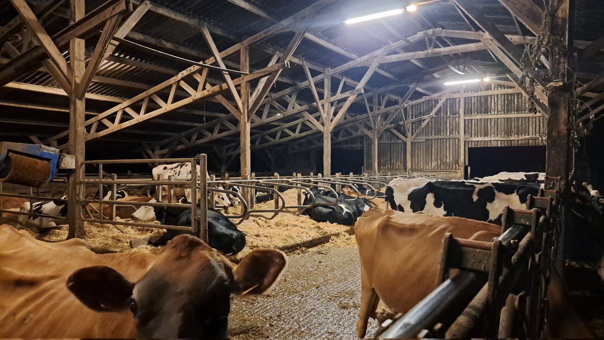 C'est Versailles ici 😎