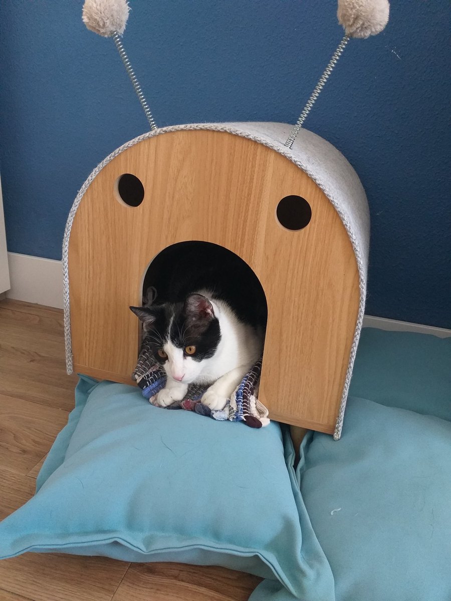 Todavía me quedan cosas que traerme pero la habitación ya está cogiendo forma