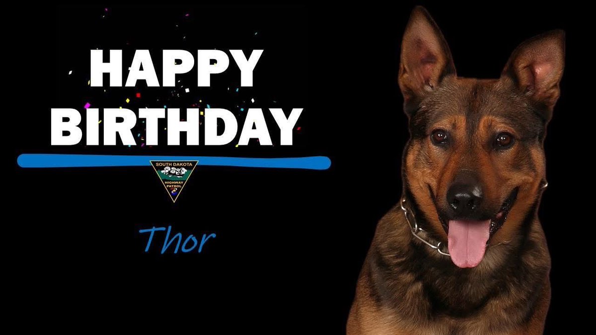 SDHighwayPatrol's tweet photo. We have another birthday!
Happy 10th Birthday Thor!!!
Happy Birthday to you… 🎶 🎵
🐾 🐾 🐾
#KeepSDSafe #DriveSafeSD #sdhppsdunit https://t.co/p51JfFZsnk