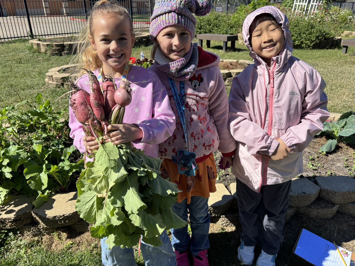 Kim Maxian tweet media