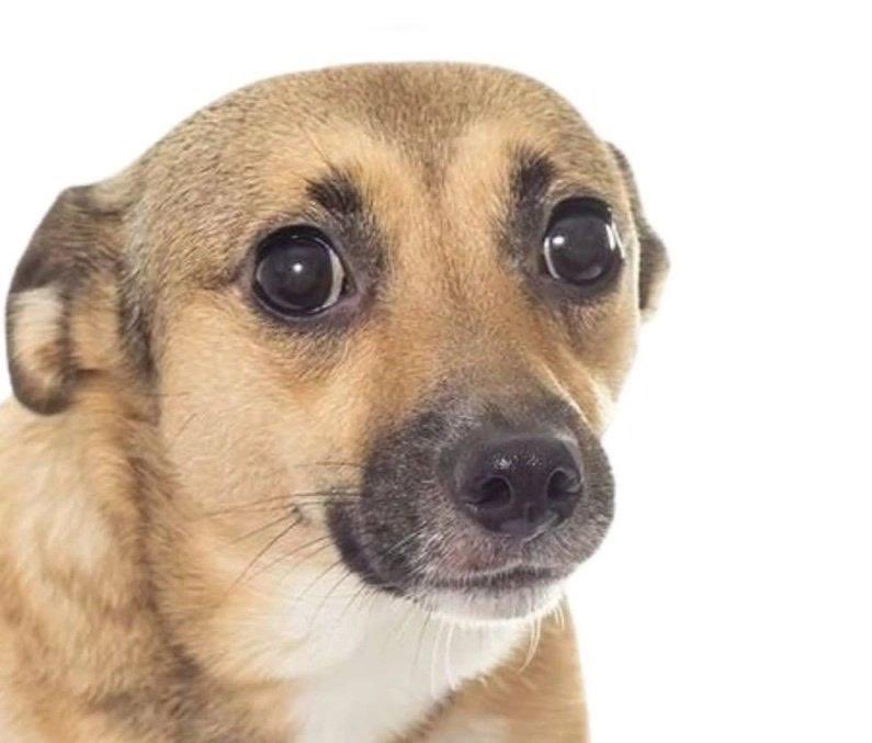 O6ios's tweet image. depois de perder a cabeça por 6 horas, decidi que na verdade nem é tão grave assim