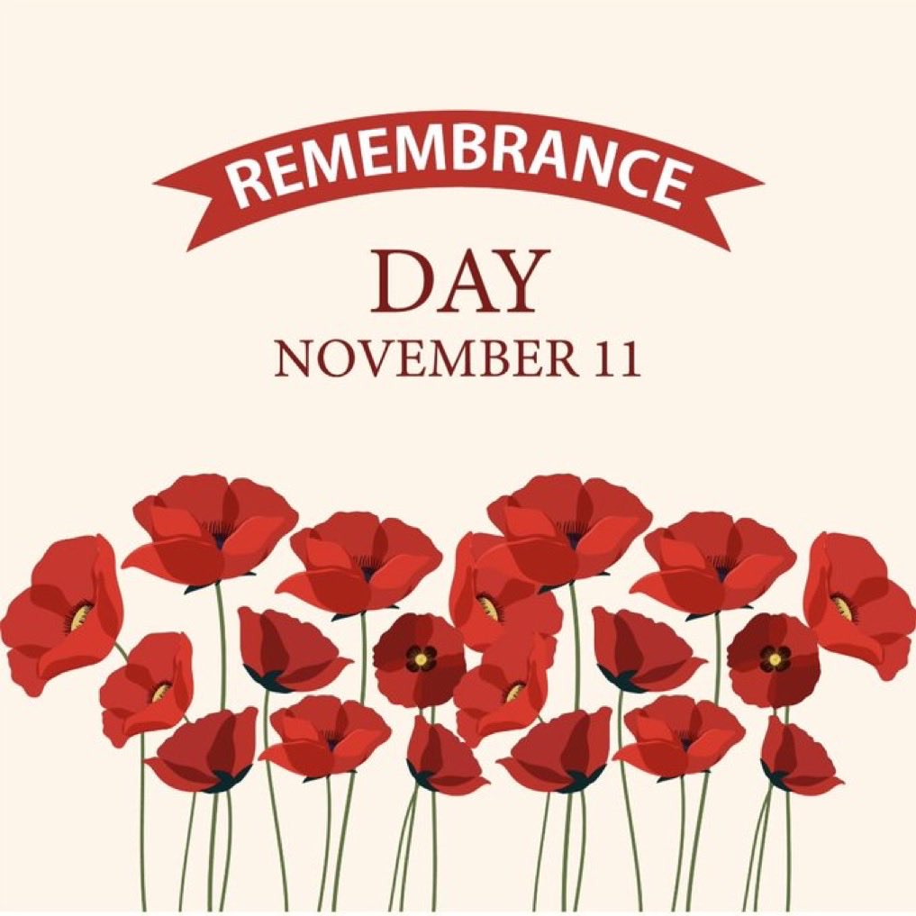 CLAN_AU's tweet photo. #RemembranceDay 

Remembering all who served &amp; sacrificed with their lives for our country 
So many Care Leavers father’s fought for Australia to be free 
Too many men who grew up in orphanages &amp; fought in wars &amp; contribution is not recognised
@AWMemorial⁩

#Lestweforget https://t.co/7EIvLuMab0