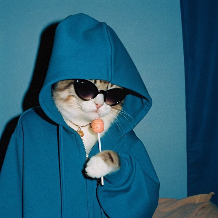 GN CT

today was so stressful ngl
no wonder all these young millionaires drop out from college, 

if I make a million dollars from <a href="/MyriadMarkets/">MYRIAD</a>, I'll definitely publish my dropout video live on twitter,

btw, if you're wondering what Myriads is, it's a prediction platform where