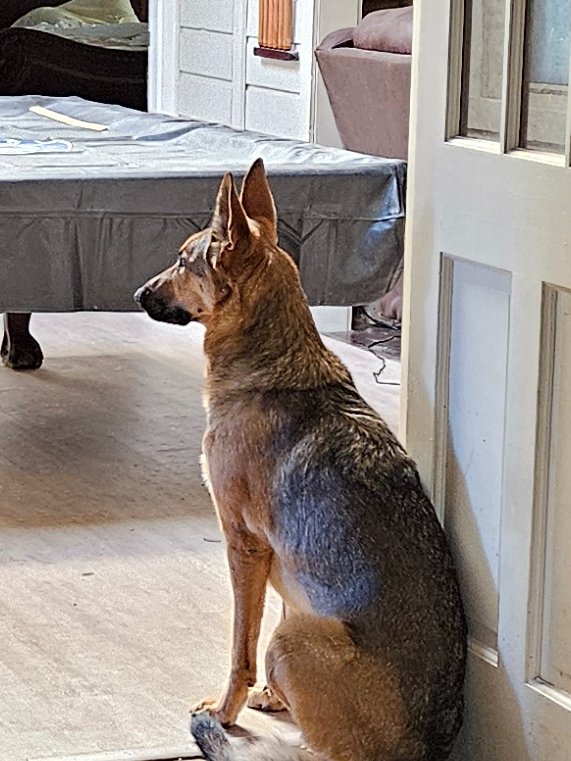 Momma Liv standing guard. Momma doesn't play around 🥰