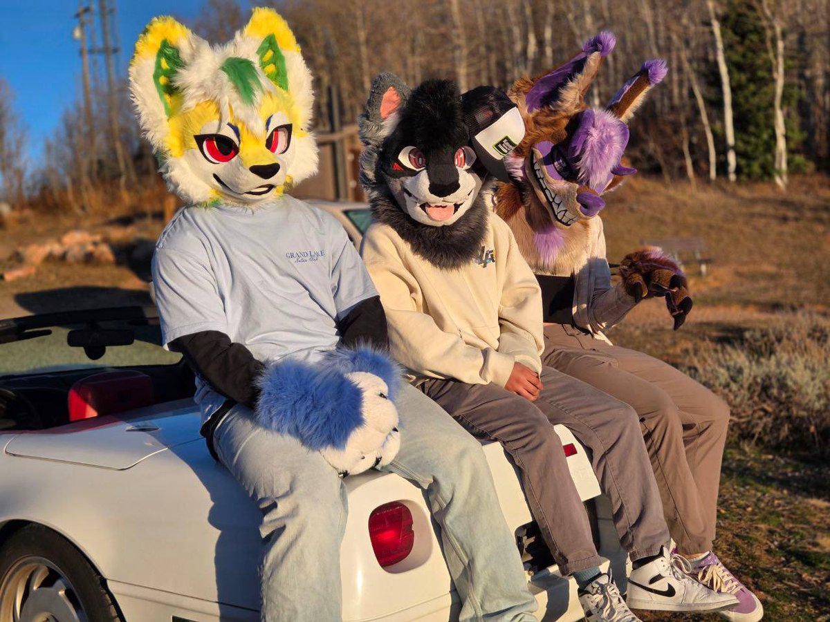 Shosun🔜BLFC tweet media