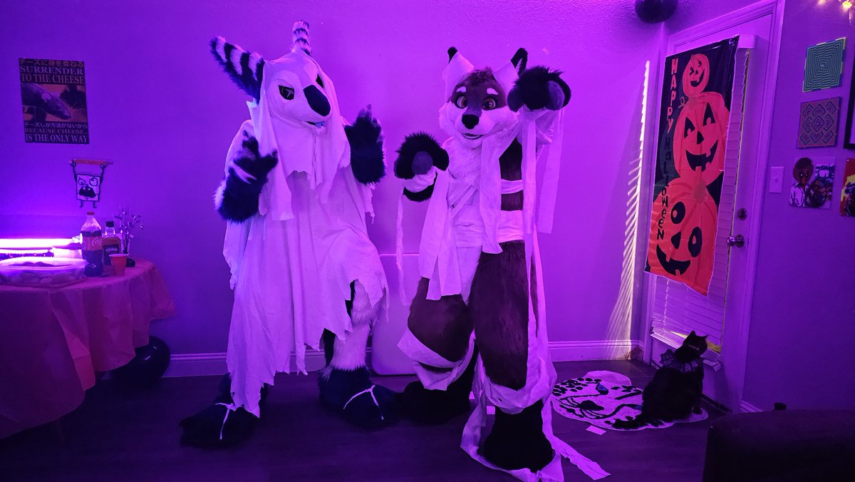 DarwinTheFox tweet media