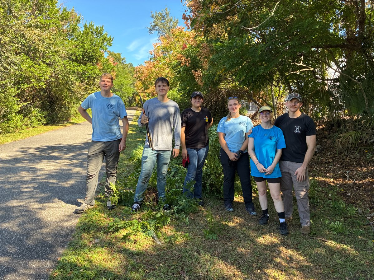 SERVProgram's tweet image. Did you know that golden rain trees are invasive in Florida? Knights for Wildlife Conservation @UCF  does! On Saturday they helped to remove ~50 bags golden rain trees + invasive air potato + litter along the Seminole Wekiva Trail. Wow! #SERVSaturdays @seminolecounty