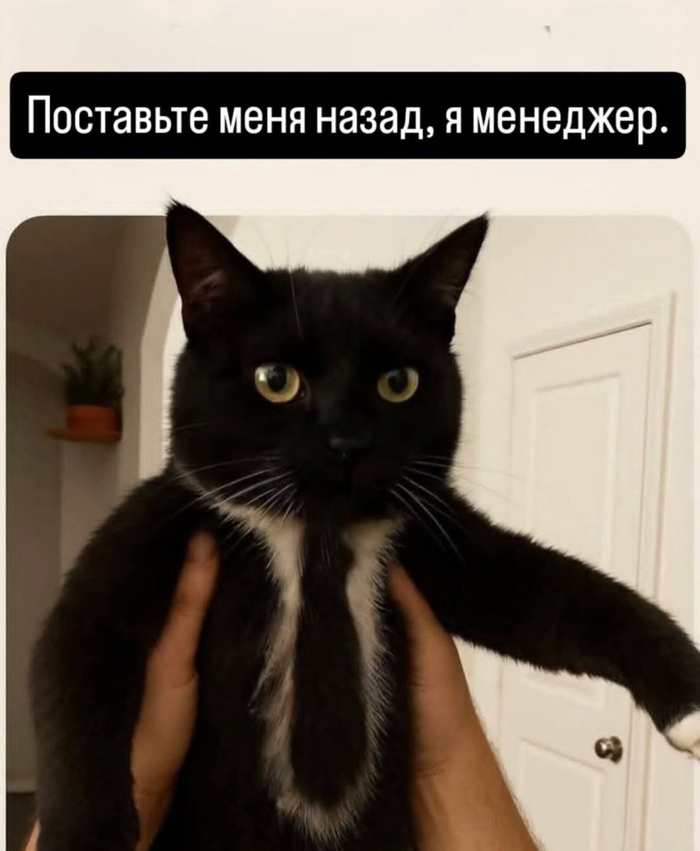 Gribanov's tweet photo. https://t.co/X99sU6fFp3